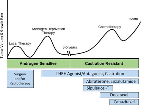 Combination Treatment Options For Castration Resistant Prostate Cancer Prostate Cancer NCBI