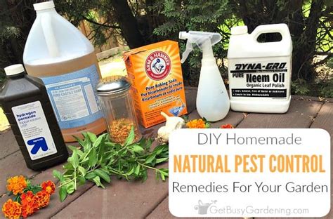 Natural Garden Pest Control Remedies And Recipes Get Busy Gardening