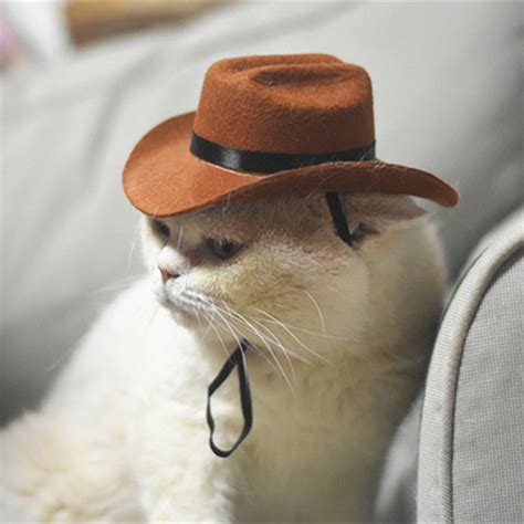 Cat Cowboy Hat Woolen Cloth Red Blue Apollobox