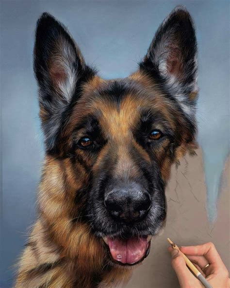 Drawing By Patricia Otero Dog Portrait Drawing Dog Paintings German
