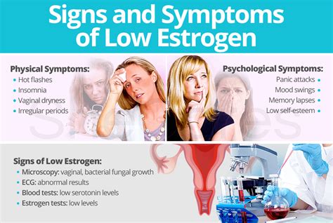 Signs And Symptoms Of Low Estrogen Shecares