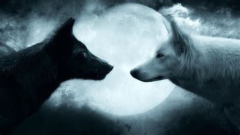 2048 X 1152 Wolf Wallpapers Top Free 2048 X 1152 Wolf Backgrounds