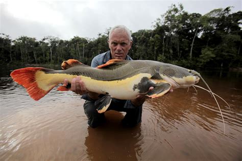 River Monsters 6 To Premiere This July The Active Age