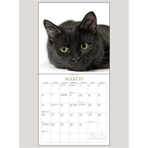 2022 Black Cats On White 12 X 12 Wall Calendar Shop The Musictoday