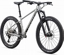 2021 Giant Fathom 2 Hardtail Mountain Bike in Grey