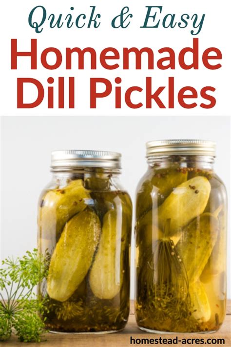 How To Make Dill Pickles Easy Canning Recipe Homestead Acres