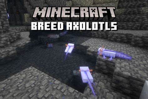 How To Breed Axolotls In Minecraft 2023