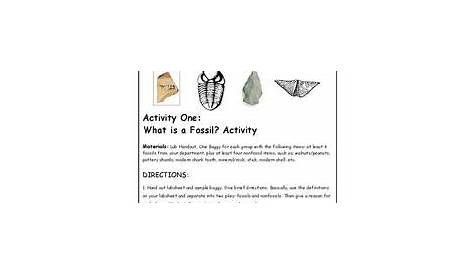 fossil activity worksheet