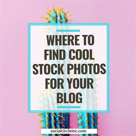 Cool Stock Photos Best Stock Photo Sites For Bloggers And Brands Best
