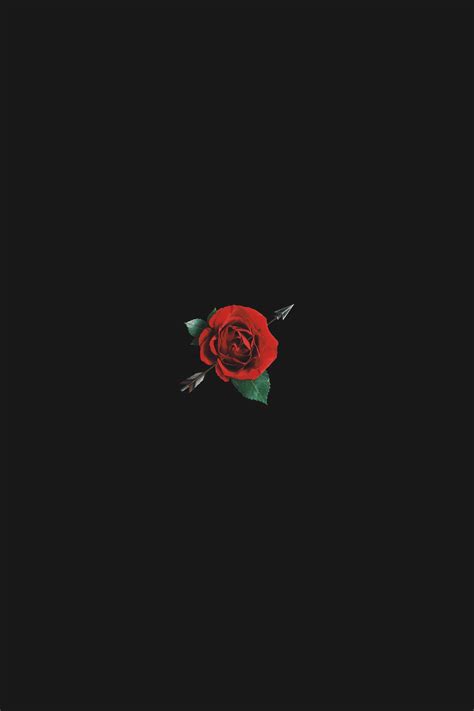 Aesthetic Black And Red Rose Wallpaper There Are 795 Red Rose