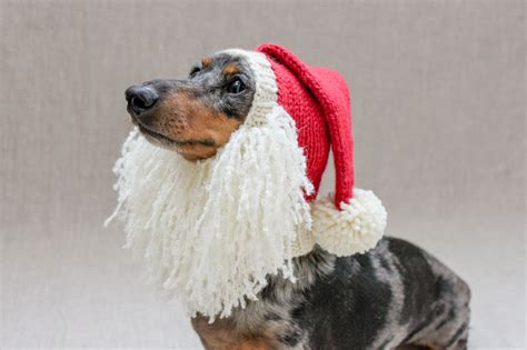 Knitting Pattern Bundle Dachshund Dog Santa Hats Christmas Etsy