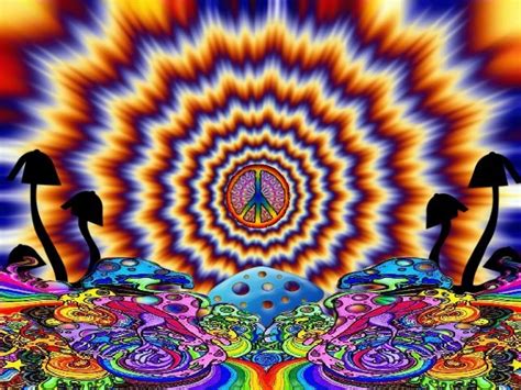 16 Best Images About Magic Mushrooms On Pinterest Trips Cannabis And