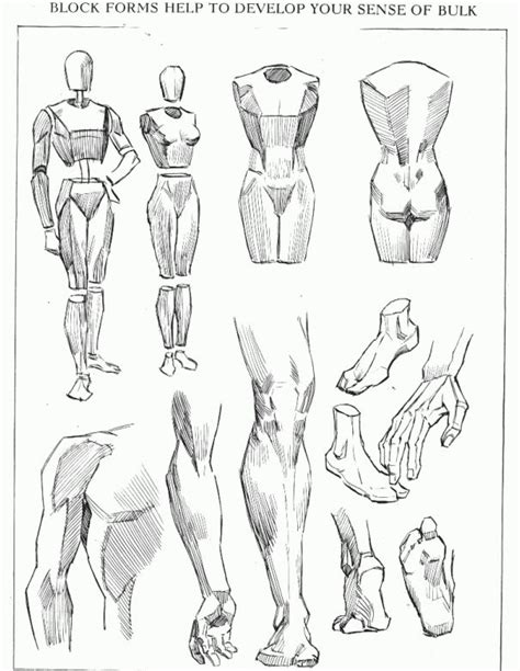 Pin By Ren On ˘ ˘ In 2020 Figure Drawing Figure Drawing