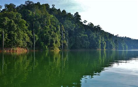 Houseboat trip to tasik banding royal belum 2020. Serenity at Tasik Temenggor, Perak | Foto | Astro Awani