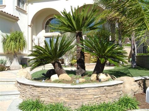 32 Palm Tree Garden Ideas Garden Design