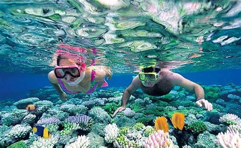 Hikkaduwa Coral Reef Is One The Most Beautiful Coral Reefs Found In Sri