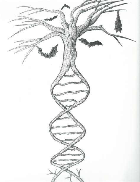 You can also import from gedcom or familyscript format. DNA Tree : drawing