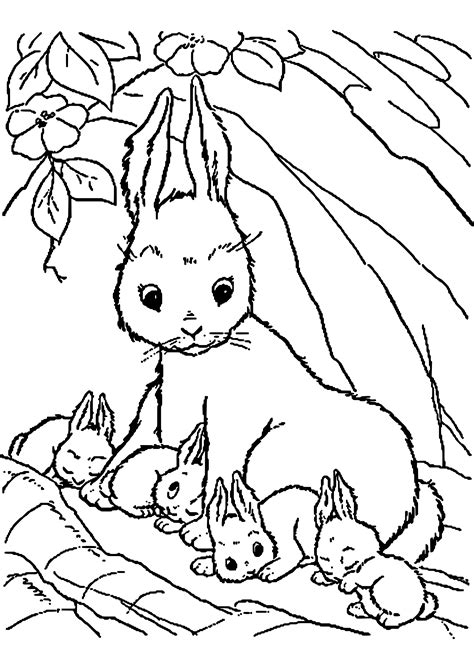 Ein haustier ist in der regel kein problem. Ausmalbilder Kaninchen | Malvorlagen für mädchen, Ausmalbilder tiere, Ausmalbilder