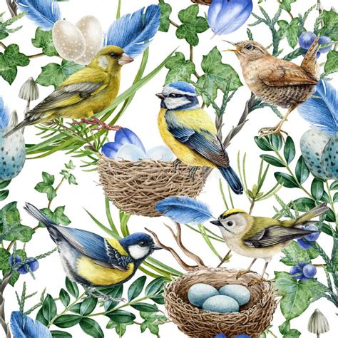 Forest Birds Watercolor Set Hand Drawn Realistic Bird Illustration