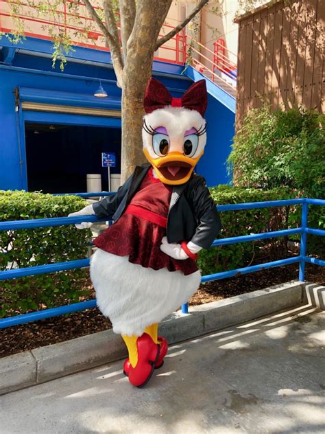 Photos Video Daisy Duck Dressed As Black Widow Now Meeting At Disney California Adventure
