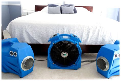 Heat Treatment Solutions For Exterminating Bed Bugs Bug Pros