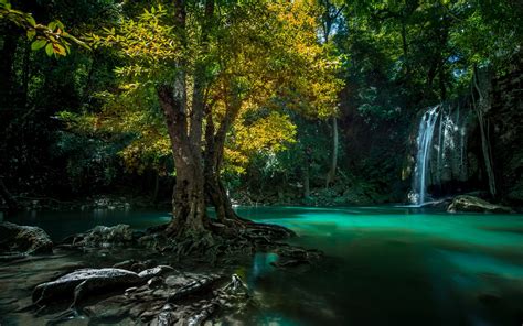 Nature Landscape Waterfall Thailand Trees Roots Green Yellow