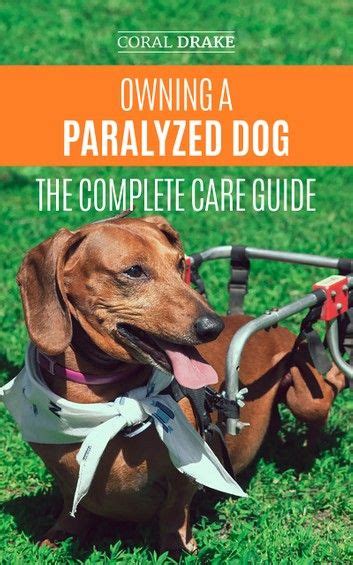 Owning A Paralyzed Dog The Complete Care Guide Ebook By Coral Drake