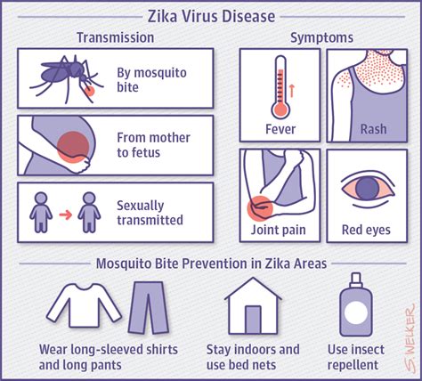 Zika Virus Disease Global Health Jama Jama Network