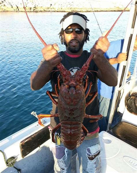 Lobster Hoop Net Seminar At Big Fish Tackle In Seal Beach With Live Pfo
