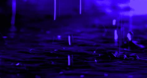 Raining Purple Rain  Find And Share On Giphy