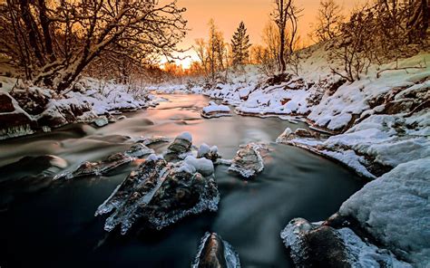 norvège forêt arbres rivière neige glace hiver coucher de soleil fonds d écran