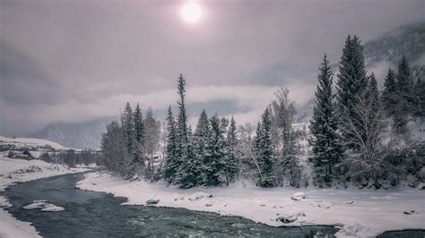 River Between Snow Covered Landscape And Trees During Morning Hd Nature