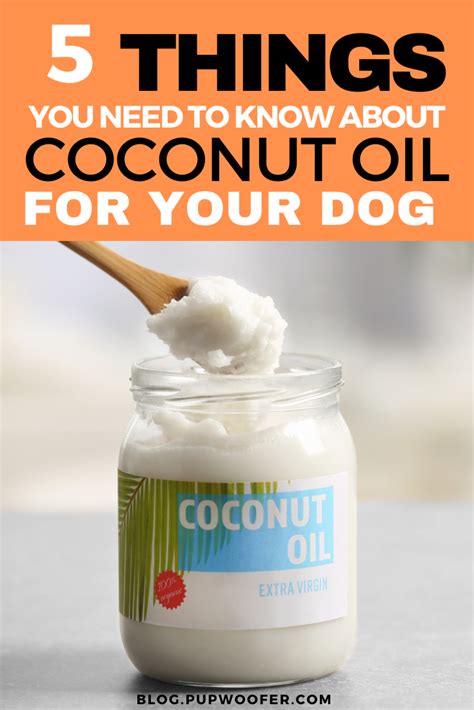 Is Coconut Oil Good For Dogs Pup Talk Coconut Oil Dogs Skin