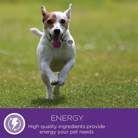 We have been crafting natural pet food for nearly 100 years and our belief in balance guides everything that we create. Wellness Complete Health Natural Dry Dog Food, Small Breed ...