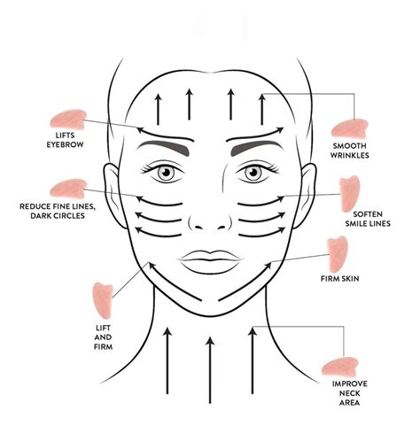 Gua Sha Massage Oil 1 Oz Reglow Chinese Medicine At Home Spa Self Care Kit Facial