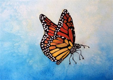 Monarch Butterfly Watercolor Realistic Watercolor Painting Of A
