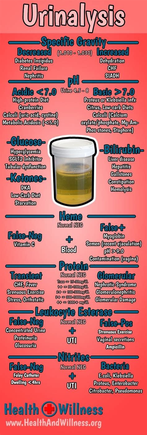 Master The Urinalysis And Improve Your Diagnostic Skills This Comprehensive Guide To