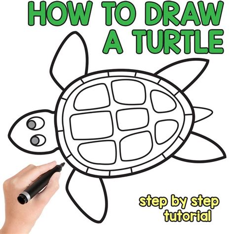 How To Draw A Turtle Step By Step Drawing Tutorial Turtle Drawing