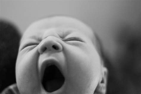 Neurodojo When Is Yawning Contagious