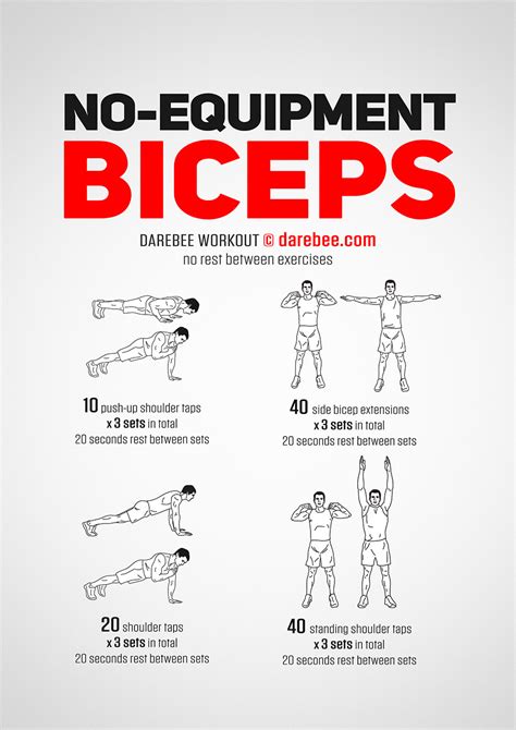 No Equipment Biceps Workout Biceps Workout Biceps Workout At Home