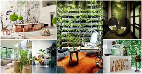 Contemporary Botanical Homes That Will Bring Nature Close To You