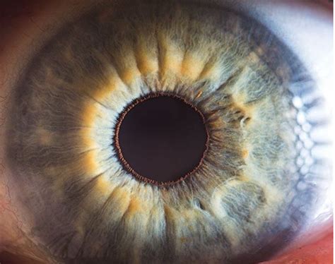 This Artist Captures Breathtaking Photos Of The Human Eye