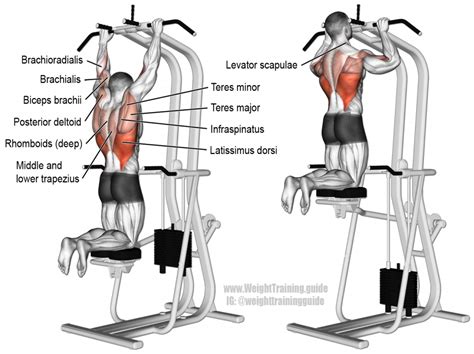 Machine Assisted Pull Up Instructions And Video Weight