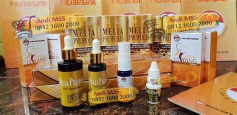 Pusat Jual Melia Propolis Di Bekasi Melia Sehat Sejahtera Web Support