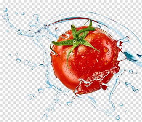 Download High Quality Tomato Clipart Illustration Transparent Png