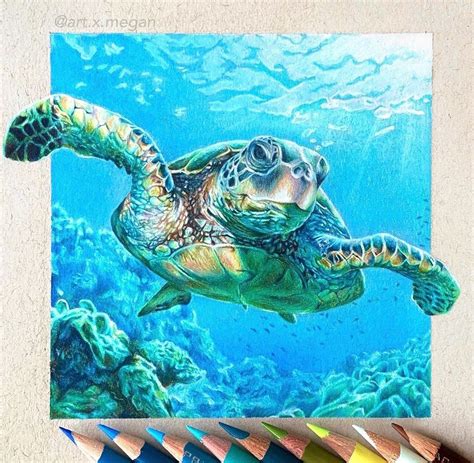 Sea Turtle Drawing Sea Drawing Sea Turtle Painting Sea Turtle Wall