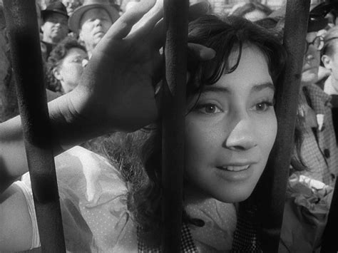 The Cranes Are Flying 1957 The Criterion Collection