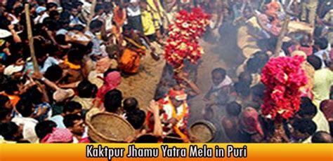 Magha Saptami Festival Of Odisha Odiaweb