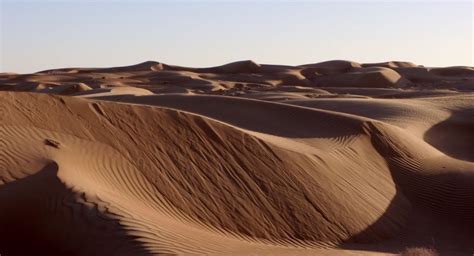 Desiertos Del Mundo Y Sus Ecosistemas Ejemplos Y Tipos Ovacen