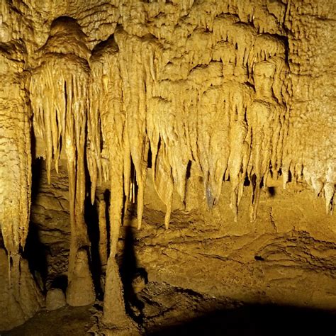 Mammoth Cave Mammoth Cave National Park Atualizado 2022 O Que Saber